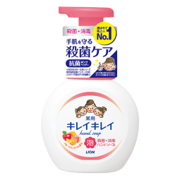 狮王(Lion) 儿童洗手液 抑菌植物性水果香 清爽型 500ml 日本原装进口