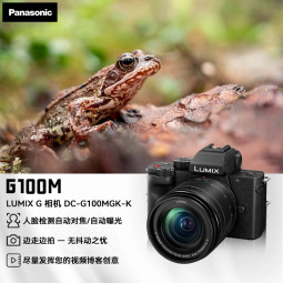 松下（Panasonic） G100 微单/单电无反数码相机 vlog防抖 自拍翻转屏 G100丨【12-60mm F3.5-5.6】套装