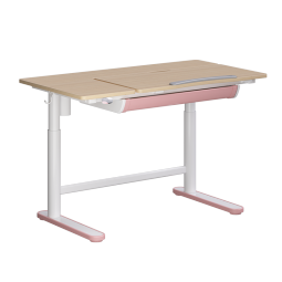 乐歌（Loctek）电动升降儿童学习桌书桌幼儿园中小学生写字桌1.1米EC2粉