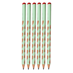 思笔乐（STABILO）洞洞铅笔6支 HB粗杆三角杆启蒙正姿儿童铅笔 开学文具 马卡龙绿322/15