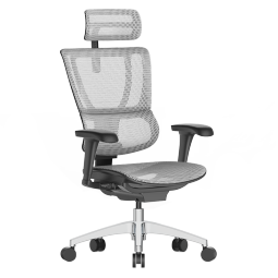 保友办公家具（Ergonor） 优b 2代 电脑椅人体工学椅家用 电竞椅办公椅子靠背椅老板椅 银白美国网【推荐款】 升级款