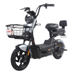 五星钻豹电动车 新国标48V18AH电瓶车男女轻便两轮电动自行车 A12 曜石灰