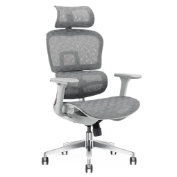 ErgoJust 爱高佳R9 人体工学椅久坐舒适居家办公电脑椅 家用工学座椅 R9灰(标配版)+脚拖