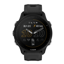 佳明（GARMIN） Forerunner955智能运动手表触控双频多星竞速腕表铁人三项血氧 Forerunner955 黑色