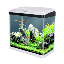舒博莱特鱼缸小型生态桌面金鱼缸 造景浮法玻璃鱼缸带灯过滤器三合一水泵 240活动款-官方标配【无赠品】