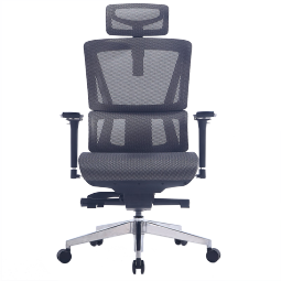 恋树（LIANSHU） L1电脑椅家用 人体工学椅子 办公椅可躺 老板椅 转椅 撑腰电竞椅 灰色(4D扶手)网布版