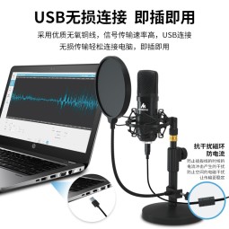 闪克（Sudotack） 电脑麦克风笔记本USB专业电容麦唱歌游戏直播话筒录音配音网课K歌闪客啵啵麦 A04T圆盘款