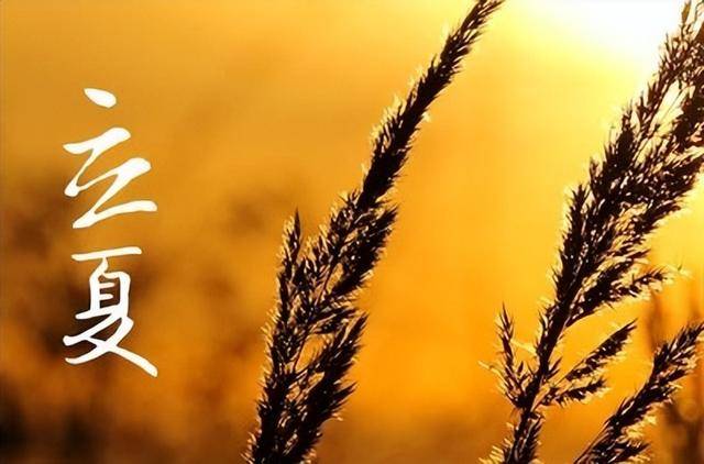 “立夏吃3宝，不把医生找”5月5日立夏，指哪3宝？清心去火强免疫