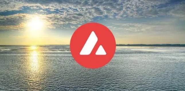 AVAX创始人详解：团队背景与贡献