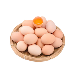 荆品名门农家散养新鲜鸡蛋初生蛋谷物蛋纯农村笨鸡蛋自养草鸡蛋 12枚（480克左右）