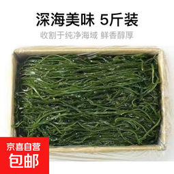 鲜海带 盐渍海带丝 凉拌菜海带丝食材鲜嫩 新鲜盐渍海带丝2.5kg