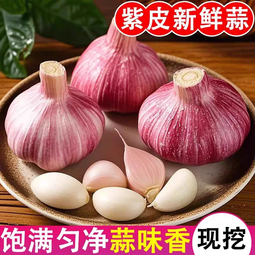 秋宜 2025干新鲜感大蒜现挖新蒜紫皮大蒜批发鲜蒜红皮蒜干蒜 精选2-2.5斤单果4-5CMM净重1.6斤 新鲜