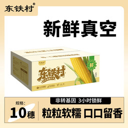 东北黄糯玉米 粘包米黄玉米甜糯玉米软糯拉丝新鲜真空 甜糯玉米一箱十根【均重≥220g】