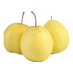 京喜加赵县雪花梨河北雪花梨肃宁雪花梨【适合煲汤】15 雪花梨带箱9斤净重8.2斤