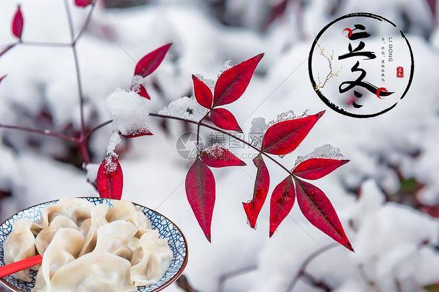 11月7日立冬，中老年要常吃4种“冠军菜”补足营养增强体质好过冬