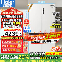 海尔（Haier）【新品小红花2.0】516升电冰箱594mm超薄零嵌入式60cm以内十字对开T型四开门抗菌净味国家补贴20% BCD-516WGHTDB9GP