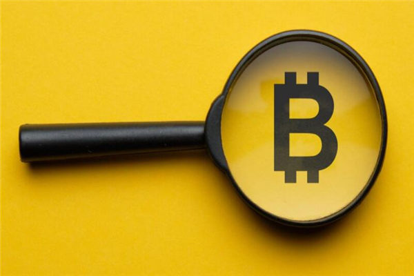 比特币价格巅峰：暴涨背后推手是谁？
