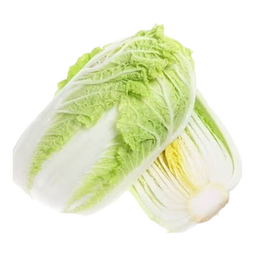 山东寿光大白菜黄心大娃娃菜农户现摘新鲜蔬菜原产地整箱批发 寿光白菜5斤