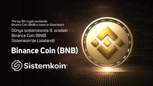 BNB币未来：前景、技术、合规深度解读