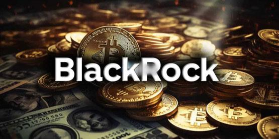 贝莱德比特币ETF“失血”3.3亿！谁在抛售？