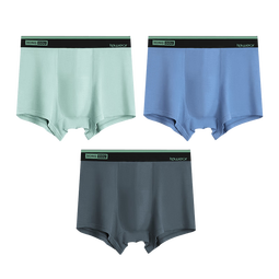 红豆（Hodo）男士内裤抑菌裆中腰平角内裤透气青年潮男士内裤3条裝 HCK003组合一 L 170/78A