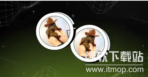 松鼠币爆火：功能、用途与未来猜想