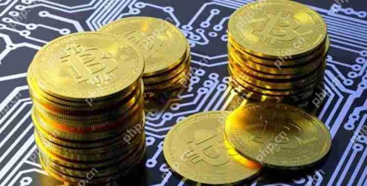 2025潜力币：名单、分析与投资策略