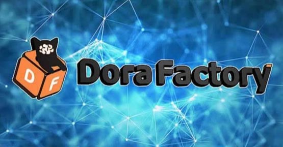 DORA币发行价揭秘：众筹价与用途全览