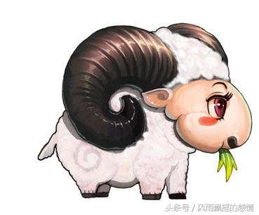 1979属羊最佳配对：兔、猪、猴