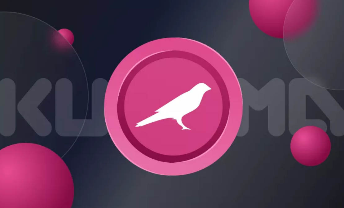 KSM币长期持有价值分析