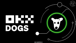 欧易APP升级：安全便捷交易，畅玩币圈！