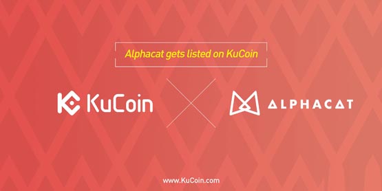 ACAT币详解：官网、总量、交易平台一览