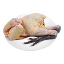 九华山高山散养生黑脚老母鸡贵妃鸡源头直发500天生鲜整只 贵妃老母鸡3只（净重9斤）