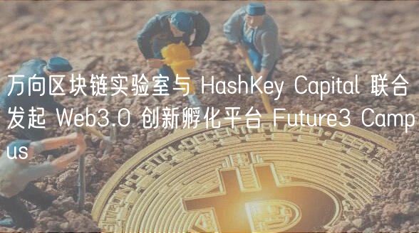 Web3.0孵化：万向与HashKey重磅扶持