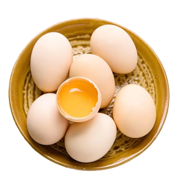 妍发现捡现发土鸡蛋散养鸡蛋鲜鸡蛋月子鸡蛋单枚40g 10枚