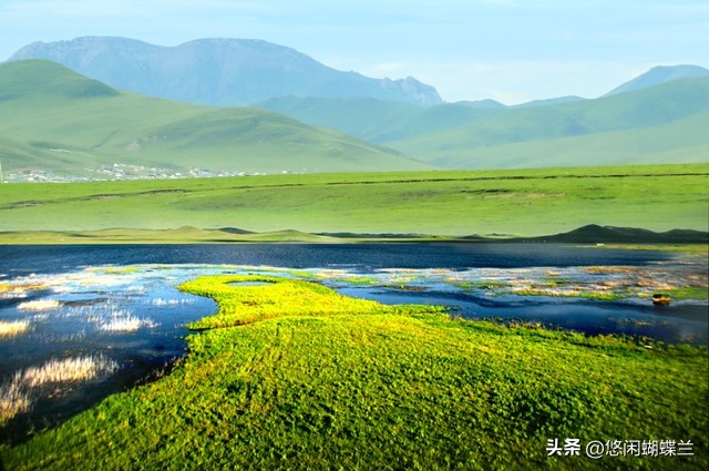 朋友圈发文字不发图？超简单教程！