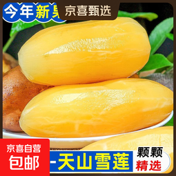正宗云南天山雪莲果现挖现发高原脆甜雪中仙果当季新鲜水果 9斤