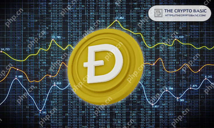 Dogecoin突破0.18美元，强势看涨！