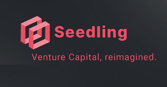 SDLN币：隐私币种？投资价值深度分析