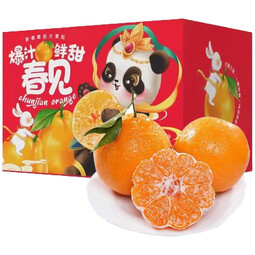 春公子正宗四川春见耙耙柑 新鲜时令水果粑粑柑年货礼盒 柑橘子桔子丑橘 一级果80-90mm 净重4.5-5斤彩箱礼盒装