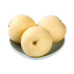 京鲜生河北辛集白玉皇冠梨 净重4.5斤 单果200g+  生鲜水果 源头直发