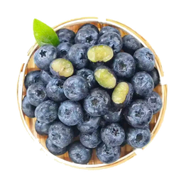 京觅云南高山花香蓝莓12盒装 净重100g/盒 单果15mm+新鲜水果源头直发