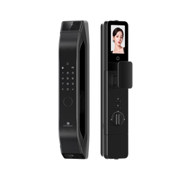 德施曼（DESMAN）智能门锁C级锁芯3D人脸大屏指纹大圣Q5FPro（下摄版）一价全包