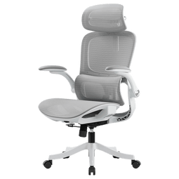 黑白调P2Pro二代人体工学椅电脑椅办公椅电竞椅子人工力学座椅4D腰托