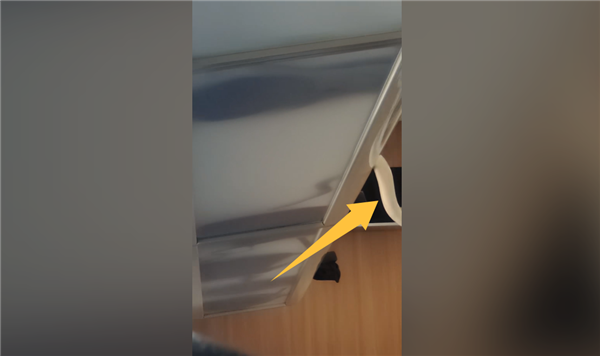 虚惊一场！网传高铁行李架上掉下蛇 官方辟谣：其实是鳗鱼