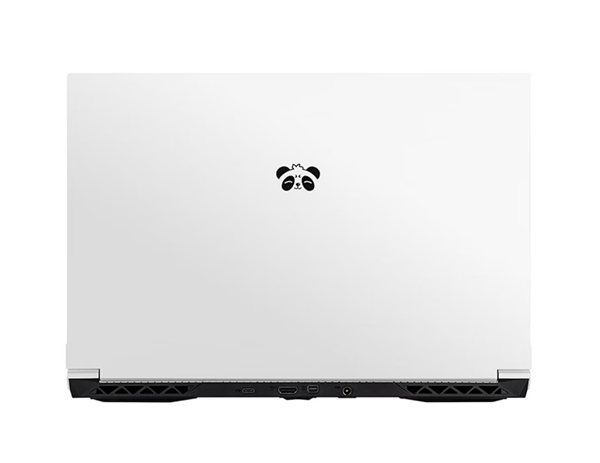 今夕是何年 七彩虹新款隐星P15熊猫本上架：RTX 3050+DDR4售价5354元！