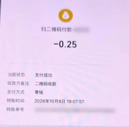 90岁老人听不清收款语音 男子买东西只付几毛 一月作案26起